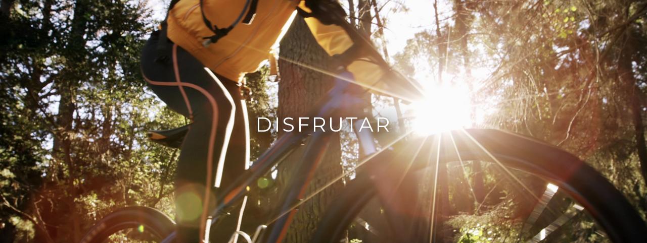 Disfrutar